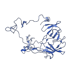 42561_8uu6_C_v1-1
Cryo-EM structure of the ratcheted Listeria innocua 70S ribosome in complex with p/E-tRNA (structure II-A)