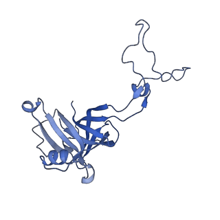 42561_8uu6_D_v1-1
Cryo-EM structure of the ratcheted Listeria innocua 70S ribosome in complex with p/E-tRNA (structure II-A)