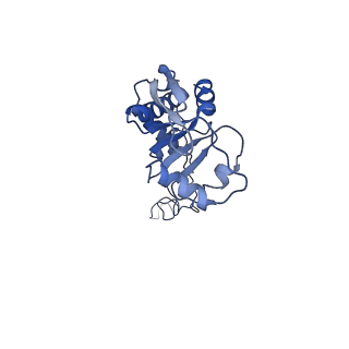 42561_8uu6_E_v1-1
Cryo-EM structure of the ratcheted Listeria innocua 70S ribosome in complex with p/E-tRNA (structure II-A)
