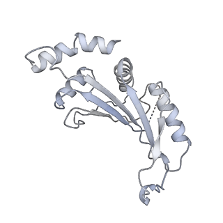 42561_8uu6_F_v1-1
Cryo-EM structure of the ratcheted Listeria innocua 70S ribosome in complex with p/E-tRNA (structure II-A)