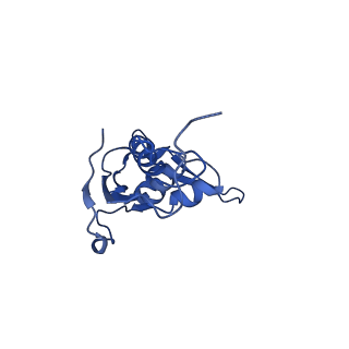 42561_8uu6_L_v1-1
Cryo-EM structure of the ratcheted Listeria innocua 70S ribosome in complex with p/E-tRNA (structure II-A)