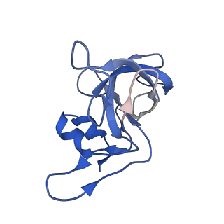 42561_8uu6_M_v1-1
Cryo-EM structure of the ratcheted Listeria innocua 70S ribosome in complex with p/E-tRNA (structure II-A)