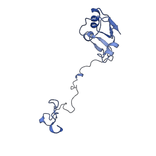 42561_8uu6_N_v1-1
Cryo-EM structure of the ratcheted Listeria innocua 70S ribosome in complex with p/E-tRNA (structure II-A)