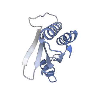 42561_8uu6_Q_v1-1
Cryo-EM structure of the ratcheted Listeria innocua 70S ribosome in complex with p/E-tRNA (structure II-A)