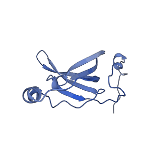 42561_8uu6_R_v1-1
Cryo-EM structure of the ratcheted Listeria innocua 70S ribosome in complex with p/E-tRNA (structure II-A)