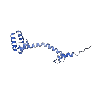 42561_8uu6_S_v1-1
Cryo-EM structure of the ratcheted Listeria innocua 70S ribosome in complex with p/E-tRNA (structure II-A)