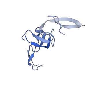 42561_8uu6_W_v1-1
Cryo-EM structure of the ratcheted Listeria innocua 70S ribosome in complex with p/E-tRNA (structure II-A)