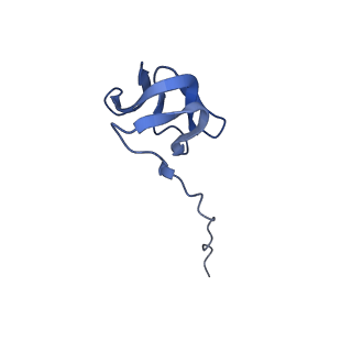 42561_8uu6_Y_v1-1
Cryo-EM structure of the ratcheted Listeria innocua 70S ribosome in complex with p/E-tRNA (structure II-A)