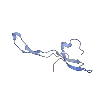 42561_8uu6_Z_v1-1
Cryo-EM structure of the ratcheted Listeria innocua 70S ribosome in complex with p/E-tRNA (structure II-A)