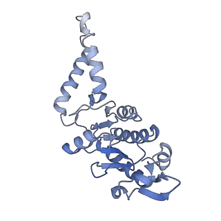 42561_8uu6_b_v1-1
Cryo-EM structure of the ratcheted Listeria innocua 70S ribosome in complex with p/E-tRNA (structure II-A)