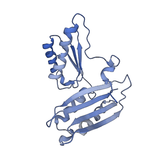 42561_8uu6_c_v1-1
Cryo-EM structure of the ratcheted Listeria innocua 70S ribosome in complex with p/E-tRNA (structure II-A)