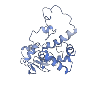 42561_8uu6_d_v1-1
Cryo-EM structure of the ratcheted Listeria innocua 70S ribosome in complex with p/E-tRNA (structure II-A)