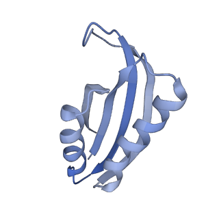 42561_8uu6_f_v1-1
Cryo-EM structure of the ratcheted Listeria innocua 70S ribosome in complex with p/E-tRNA (structure II-A)