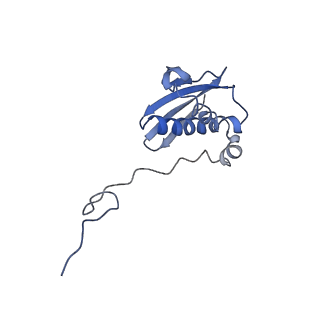 42561_8uu6_i_v1-1
Cryo-EM structure of the ratcheted Listeria innocua 70S ribosome in complex with p/E-tRNA (structure II-A)