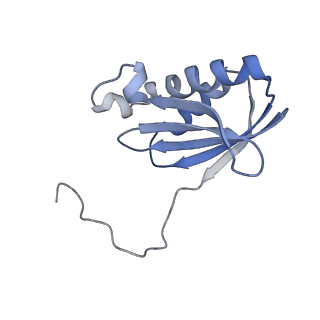 42561_8uu6_k_v1-1
Cryo-EM structure of the ratcheted Listeria innocua 70S ribosome in complex with p/E-tRNA (structure II-A)