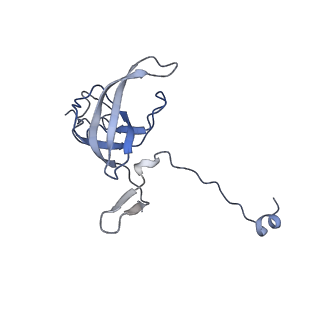 42561_8uu6_l_v1-1
Cryo-EM structure of the ratcheted Listeria innocua 70S ribosome in complex with p/E-tRNA (structure II-A)