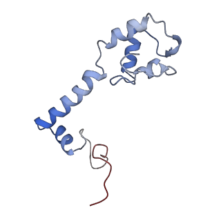 42561_8uu6_m_v1-1
Cryo-EM structure of the ratcheted Listeria innocua 70S ribosome in complex with p/E-tRNA (structure II-A)