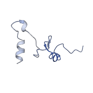 42561_8uu6_n_v1-1
Cryo-EM structure of the ratcheted Listeria innocua 70S ribosome in complex with p/E-tRNA (structure II-A)