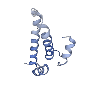 42561_8uu6_o_v1-1
Cryo-EM structure of the ratcheted Listeria innocua 70S ribosome in complex with p/E-tRNA (structure II-A)