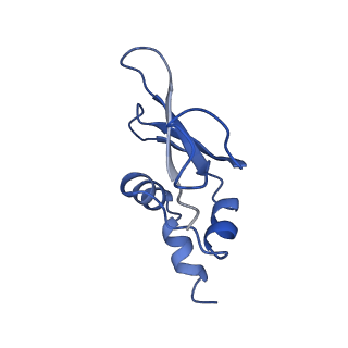 42561_8uu6_p_v1-1
Cryo-EM structure of the ratcheted Listeria innocua 70S ribosome in complex with p/E-tRNA (structure II-A)