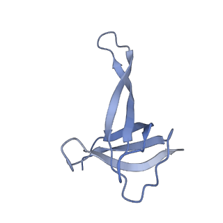 42561_8uu6_q_v1-1
Cryo-EM structure of the ratcheted Listeria innocua 70S ribosome in complex with p/E-tRNA (structure II-A)