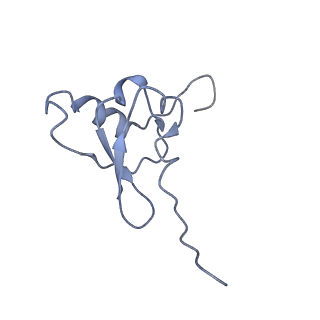 42561_8uu6_s_v1-1
Cryo-EM structure of the ratcheted Listeria innocua 70S ribosome in complex with p/E-tRNA (structure II-A)