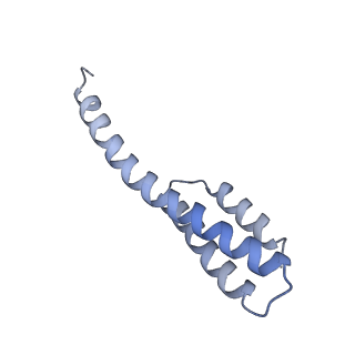 42561_8uu6_t_v1-1
Cryo-EM structure of the ratcheted Listeria innocua 70S ribosome in complex with p/E-tRNA (structure II-A)