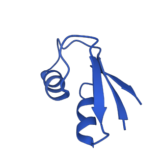 42566_8uu7_2_v1-1
Cryo-EM structure of the Listeria innocua 70S ribosome in complex with HflXr, HPF, and E-site tRNA (structure II-B)