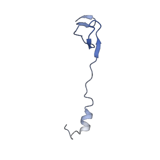 42566_8uu7_4_v1-1
Cryo-EM structure of the Listeria innocua 70S ribosome in complex with HflXr, HPF, and E-site tRNA (structure II-B)