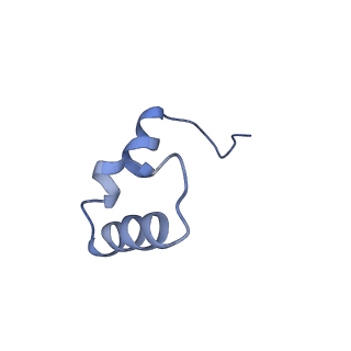 42566_8uu7_6_v1-1
Cryo-EM structure of the Listeria innocua 70S ribosome in complex with HflXr, HPF, and E-site tRNA (structure II-B)