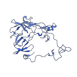 42566_8uu7_C_v1-1
Cryo-EM structure of the Listeria innocua 70S ribosome in complex with HflXr, HPF, and E-site tRNA (structure II-B)