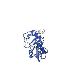 42566_8uu7_E_v1-1
Cryo-EM structure of the Listeria innocua 70S ribosome in complex with HflXr, HPF, and E-site tRNA (structure II-B)