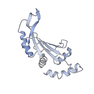 42566_8uu7_F_v1-1
Cryo-EM structure of the Listeria innocua 70S ribosome in complex with HflXr, HPF, and E-site tRNA (structure II-B)