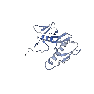 42566_8uu7_G_v1-1
Cryo-EM structure of the Listeria innocua 70S ribosome in complex with HflXr, HPF, and E-site tRNA (structure II-B)