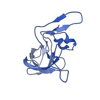 42566_8uu7_M_v1-1
Cryo-EM structure of the Listeria innocua 70S ribosome in complex with HflXr, HPF, and E-site tRNA (structure II-B)