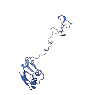 42566_8uu7_N_v1-1
Cryo-EM structure of the Listeria innocua 70S ribosome in complex with HflXr, HPF, and E-site tRNA (structure II-B)