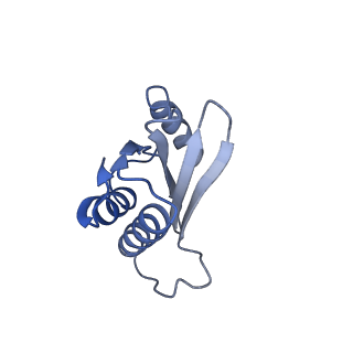 42566_8uu7_Q_v1-1
Cryo-EM structure of the Listeria innocua 70S ribosome in complex with HflXr, HPF, and E-site tRNA (structure II-B)