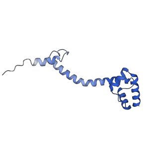 42566_8uu7_S_v1-1
Cryo-EM structure of the Listeria innocua 70S ribosome in complex with HflXr, HPF, and E-site tRNA (structure II-B)