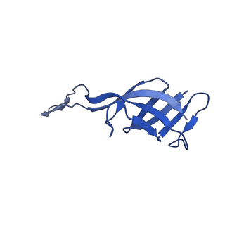 42566_8uu7_T_v1-1
Cryo-EM structure of the Listeria innocua 70S ribosome in complex with HflXr, HPF, and E-site tRNA (structure II-B)