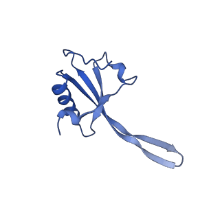 42566_8uu7_V_v1-1
Cryo-EM structure of the Listeria innocua 70S ribosome in complex with HflXr, HPF, and E-site tRNA (structure II-B)