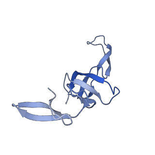 42566_8uu7_W_v1-1
Cryo-EM structure of the Listeria innocua 70S ribosome in complex with HflXr, HPF, and E-site tRNA (structure II-B)