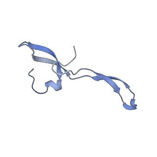 42566_8uu7_Z_v1-1
Cryo-EM structure of the Listeria innocua 70S ribosome in complex with HflXr, HPF, and E-site tRNA (structure II-B)