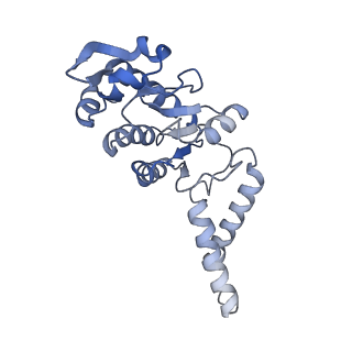 42566_8uu7_b_v1-1
Cryo-EM structure of the Listeria innocua 70S ribosome in complex with HflXr, HPF, and E-site tRNA (structure II-B)