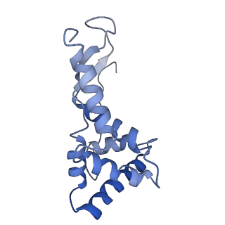 42566_8uu7_g_v1-1
Cryo-EM structure of the Listeria innocua 70S ribosome in complex with HflXr, HPF, and E-site tRNA (structure II-B)