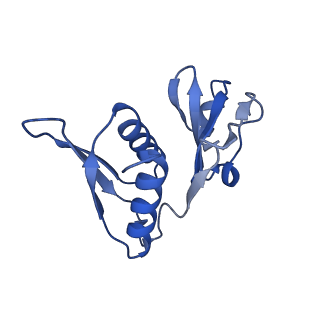 42566_8uu7_h_v1-1
Cryo-EM structure of the Listeria innocua 70S ribosome in complex with HflXr, HPF, and E-site tRNA (structure II-B)