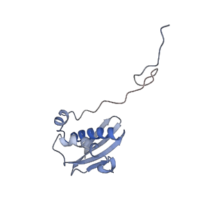 42566_8uu7_i_v1-1
Cryo-EM structure of the Listeria innocua 70S ribosome in complex with HflXr, HPF, and E-site tRNA (structure II-B)