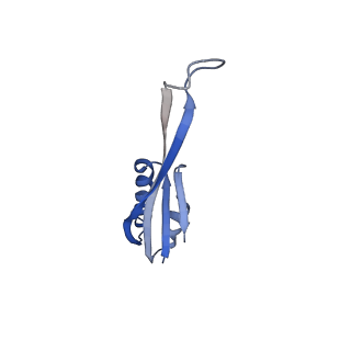 42566_8uu7_j_v1-1
Cryo-EM structure of the Listeria innocua 70S ribosome in complex with HflXr, HPF, and E-site tRNA (structure II-B)