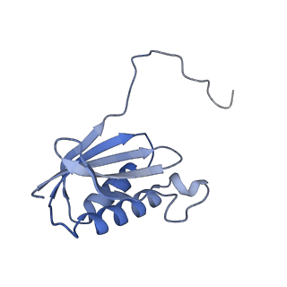 42566_8uu7_k_v1-1
Cryo-EM structure of the Listeria innocua 70S ribosome in complex with HflXr, HPF, and E-site tRNA (structure II-B)