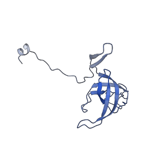 42566_8uu7_l_v1-1
Cryo-EM structure of the Listeria innocua 70S ribosome in complex with HflXr, HPF, and E-site tRNA (structure II-B)