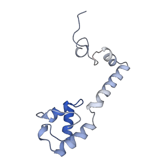 42566_8uu7_m_v1-1
Cryo-EM structure of the Listeria innocua 70S ribosome in complex with HflXr, HPF, and E-site tRNA (structure II-B)